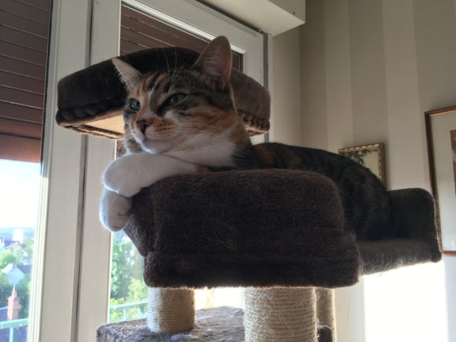 Mione-Mione la snob.jpg