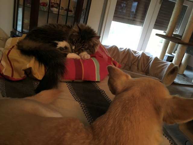 éternel recommencement....jpg