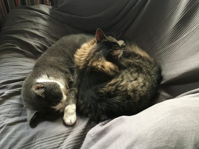 dur dur le retour de vacances !.jpg