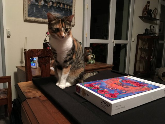 Hermione reflechit.jpg