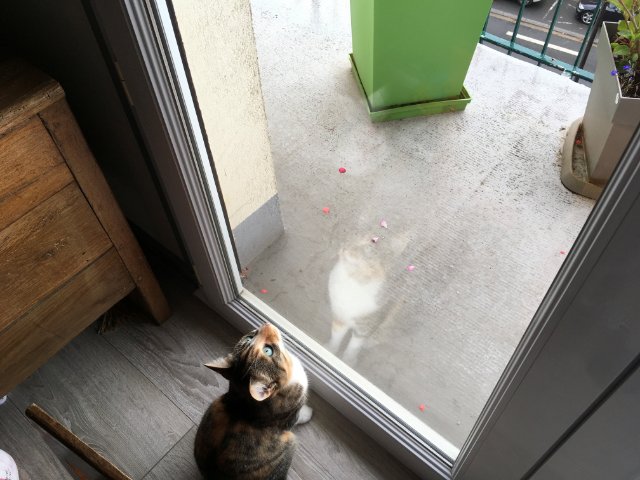 Mione-Mione chasseuse.jpg