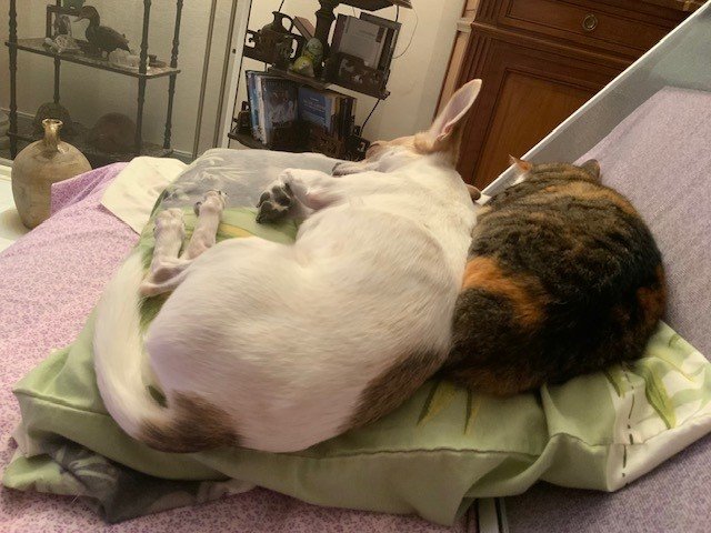 côte à côte !.jpg