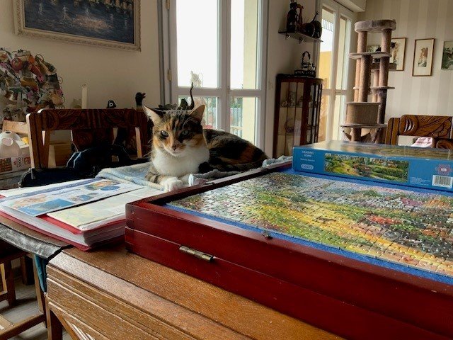 Hermione surveille le puzzle.jpg