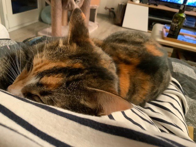 Mione-Mione ronfle.jpg