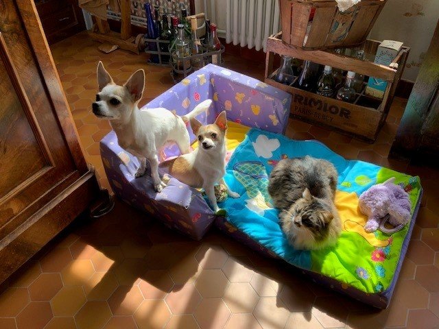 trio sur canapé.jpg