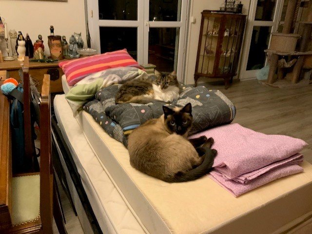 vive les déménagements !.jpg